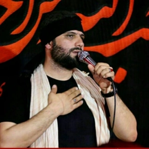 حامد گرجی